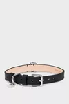 Black - Collar